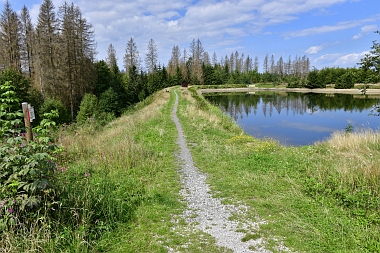 Semmelwieser Teich Oberharzer Wasserwirtschaft 820 Bilder